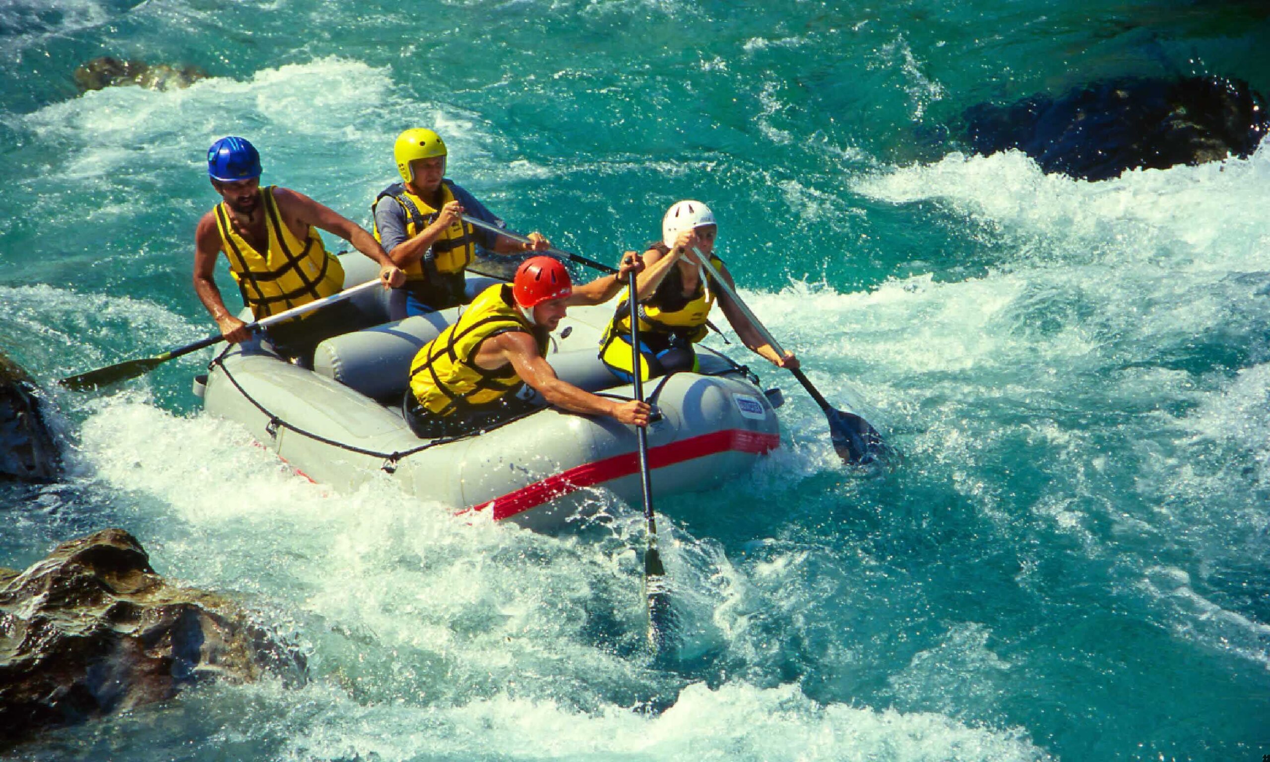 Chobe National Park Day Trip: The Ultimate Safari Experience from Victoria Falls