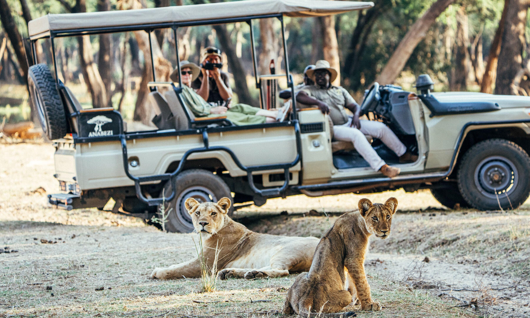 Zambezi National Park Game Drive - Victoria Falls activity