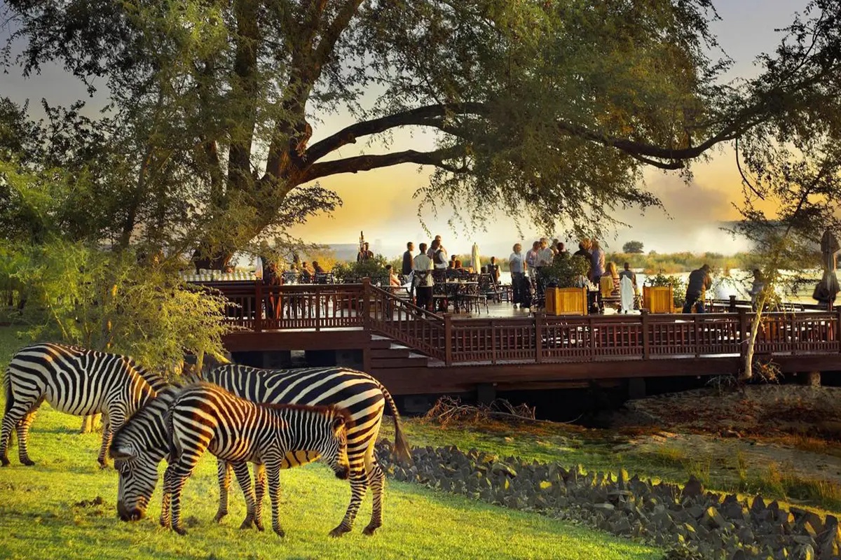 Luxury Victoria Falls: The Ultimate Guide to High-End Experiences