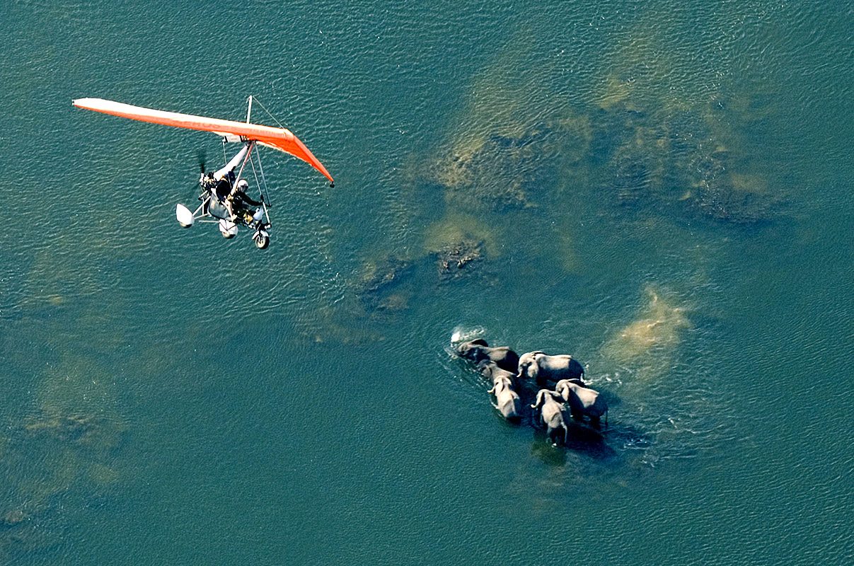 Microlight Flight Over Victoria Falls - Victoria Falls activity