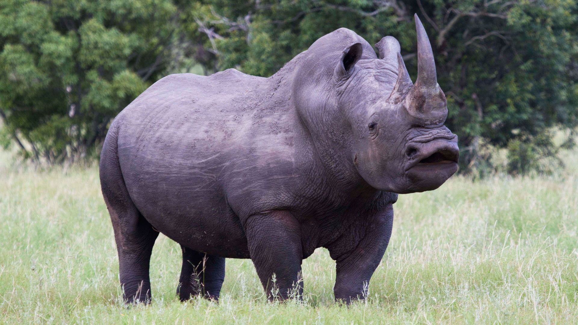 Mosi-oa-Tunya National Park: The Hidden Gem Next to Victoria Falls