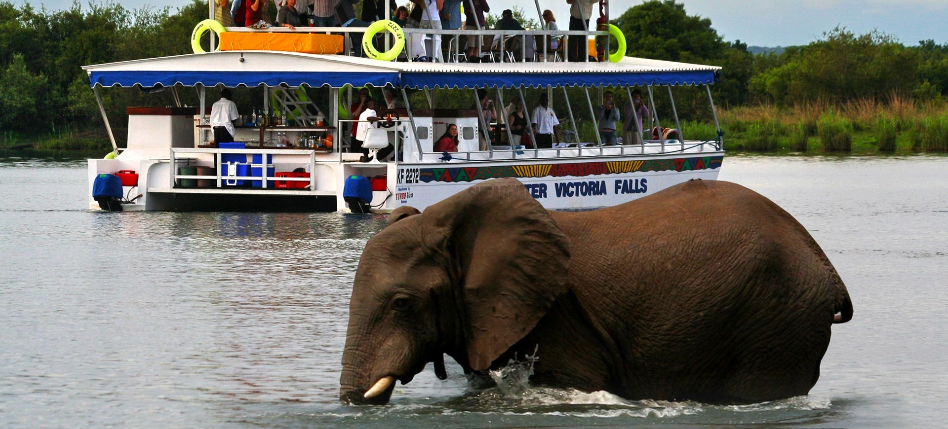Zambezi River Cruises: Sunset, Dinner, and Wildlife Encounters